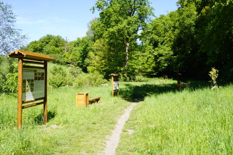 Ścieżka przyrodniczo-edukacyjna nad Leśnicą